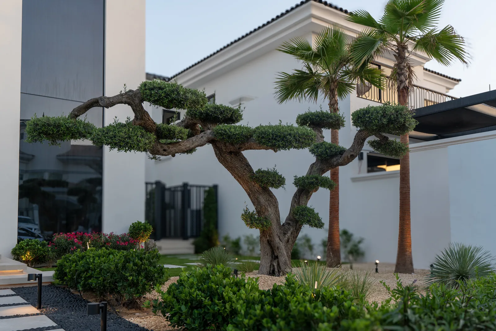 Sculpted specimen trees framing the villa entrance