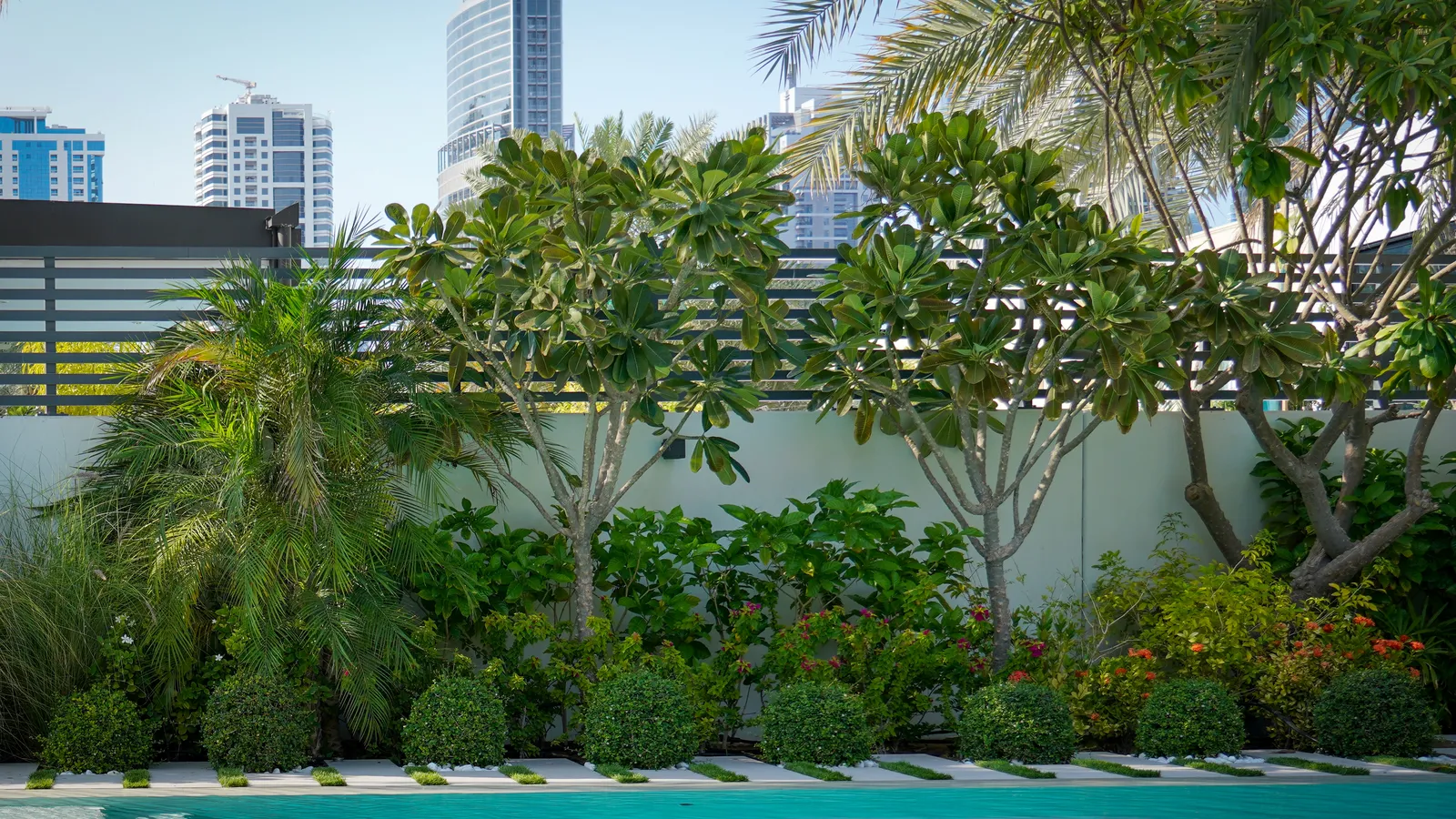 Layered planting bed with the city skyline behind