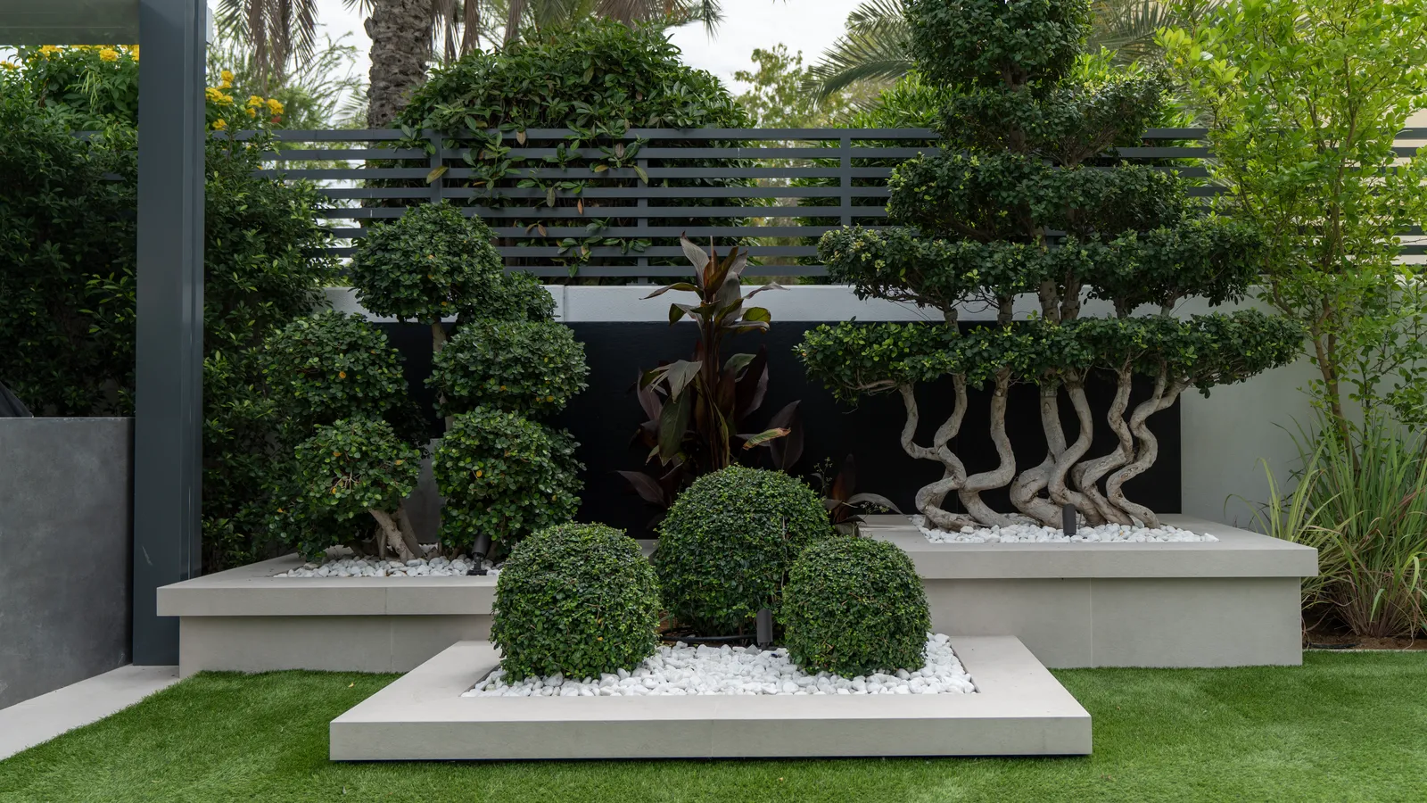 Sculptural specimen and topiary in white gravel