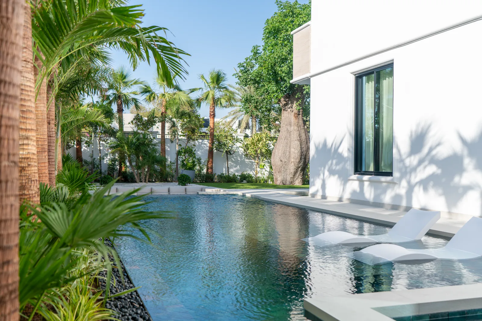 Loungers set along the pool beneath the palms