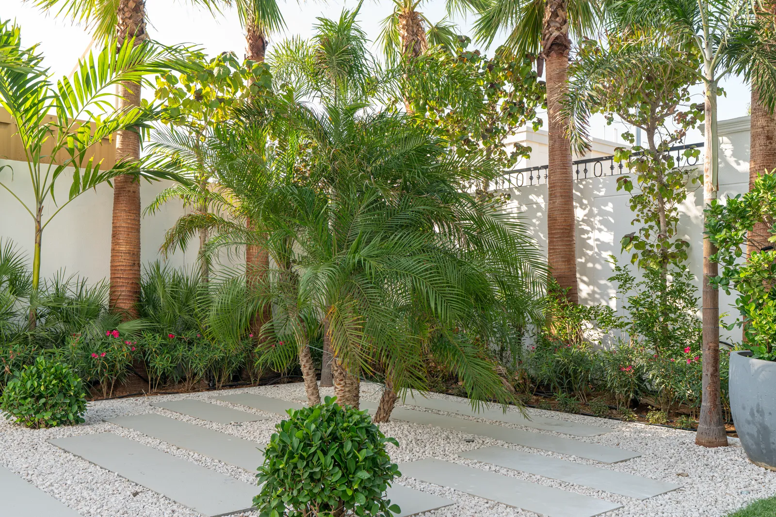 Palm colonnade over pale gravel with clipped topiary