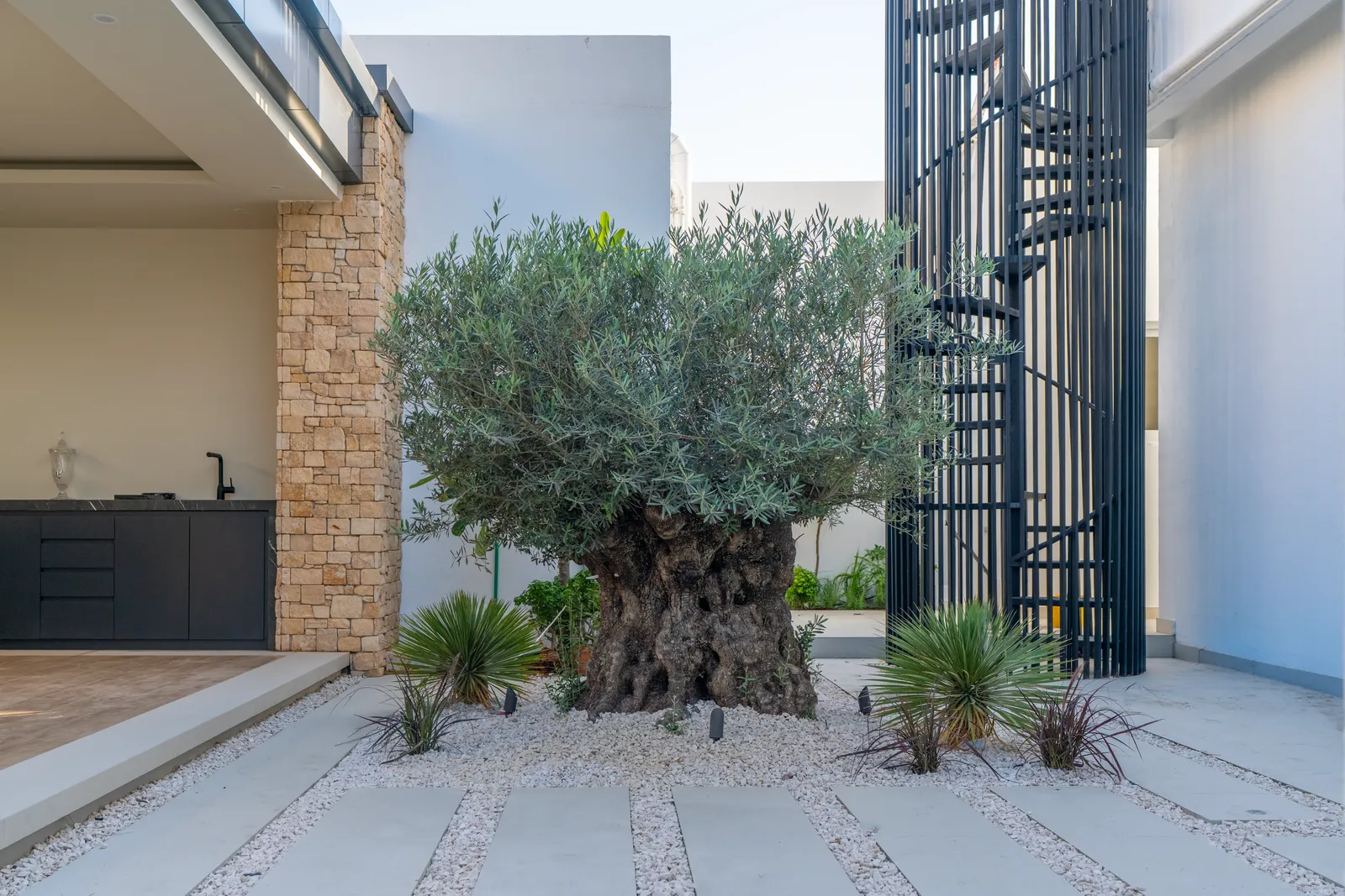 Mature olive at the entrance with the outdoor kitchen beyond