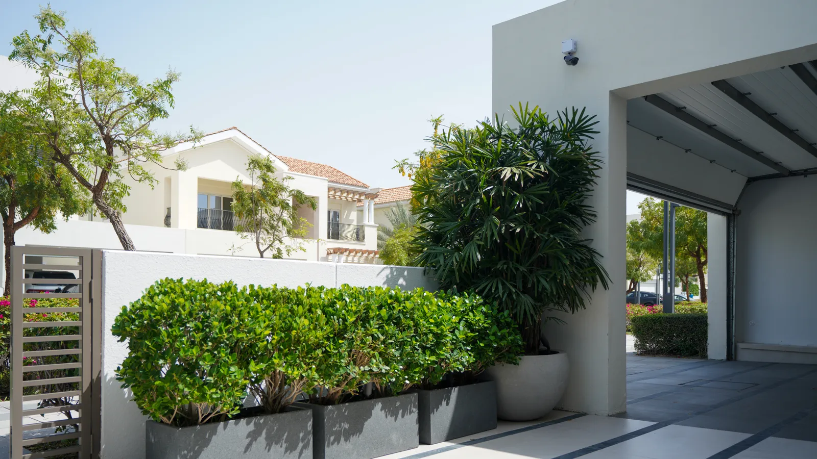Clipped hedge in long planters beside the villa