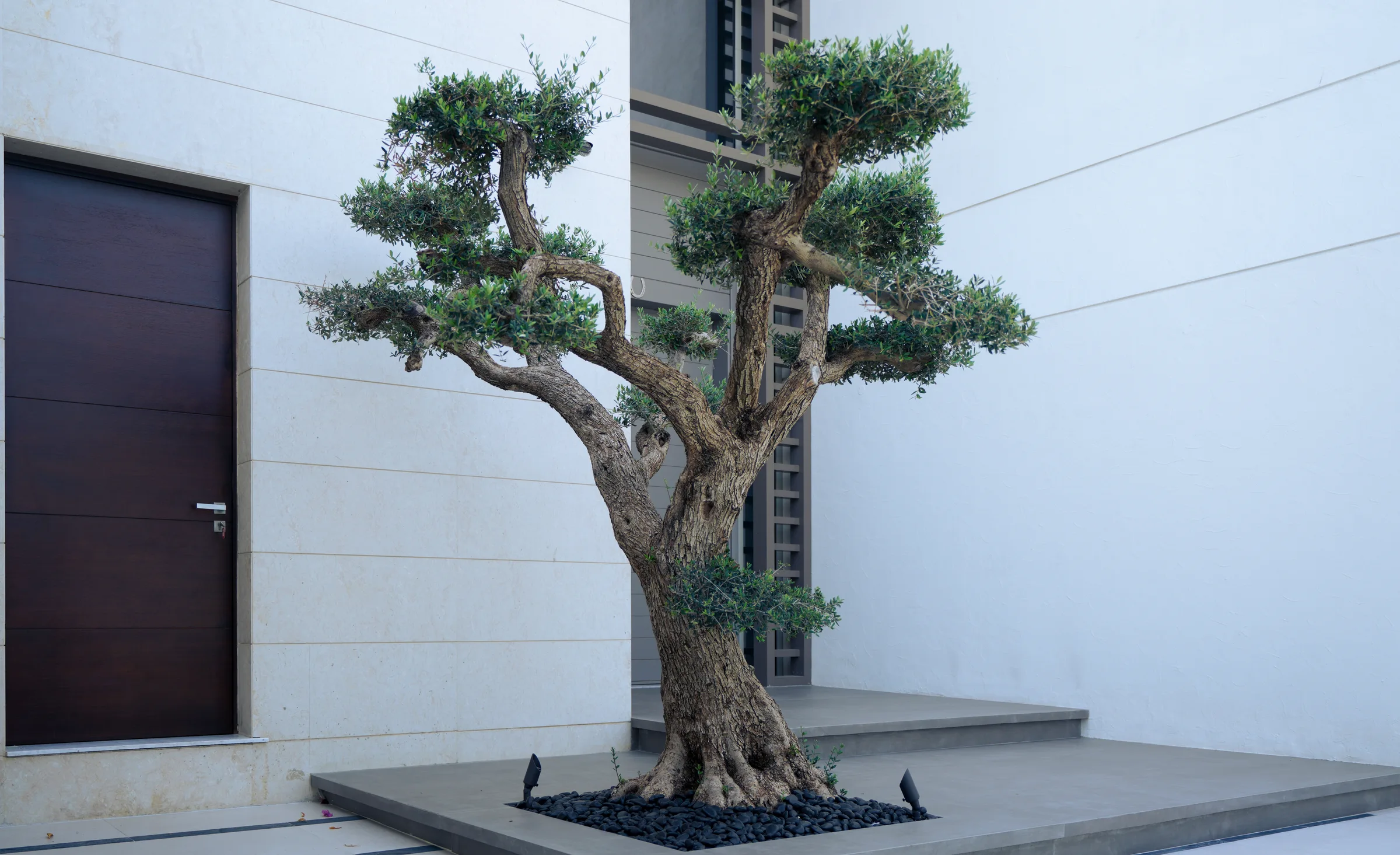Villa 404 - Pergola & Planting, landscape project by Luxland Landscaping